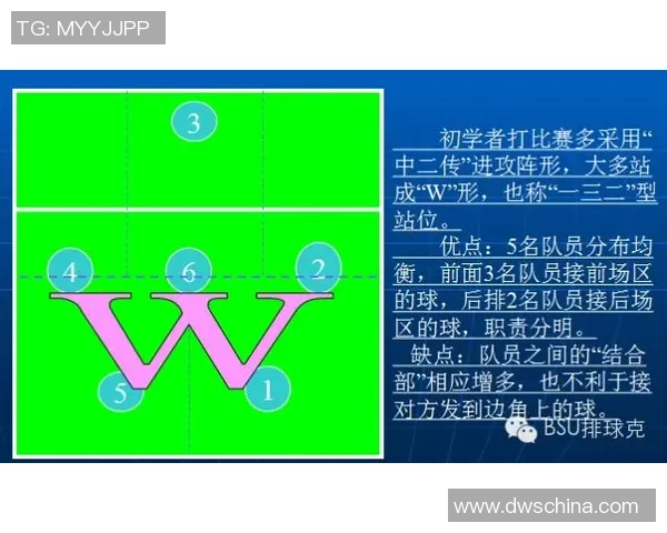 成都排球队反击战术深度解析与训练方法探讨