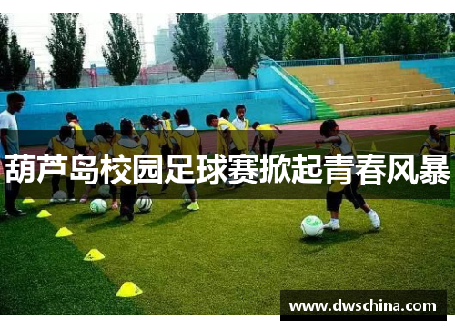 葫芦岛校园足球赛掀起青春风暴