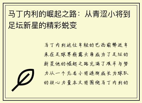 马丁内利的崛起之路：从青涩小将到足坛新星的精彩蜕变